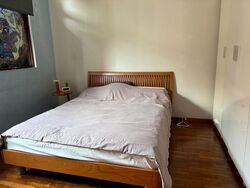 Chuan Garden (D19), Terrace #504624701